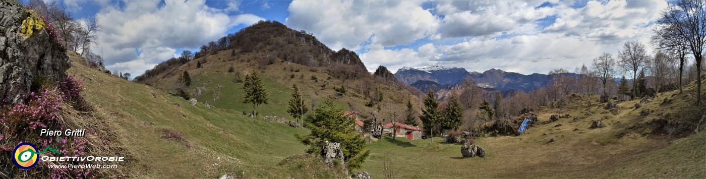 50 Dalla ombrosa e fiorita faggeta esco nella aperta conca prativa con vista sulla cima dello Zucco.jpg